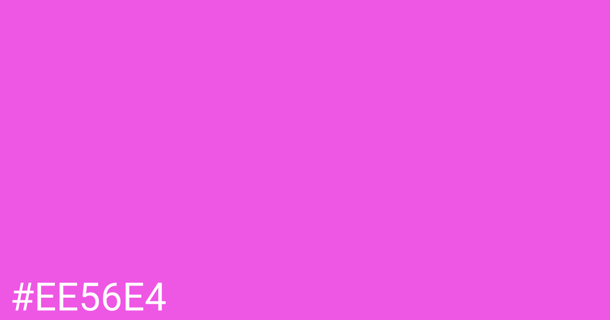 Hex color #ee56e4 graphic