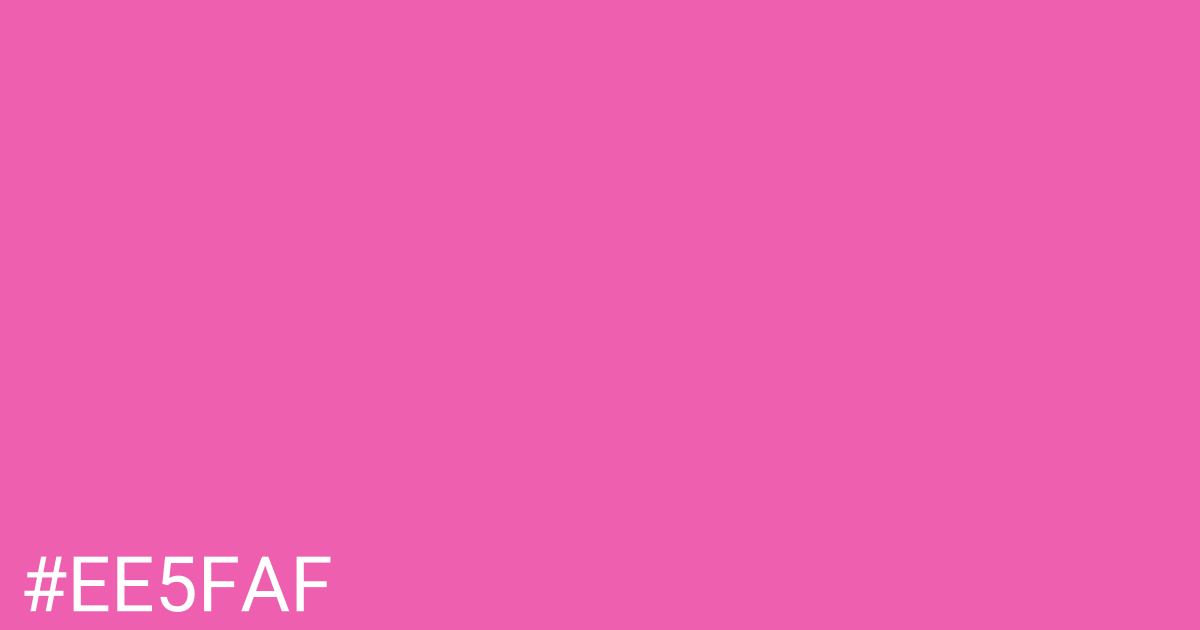 Hex color #ee5faf graphic