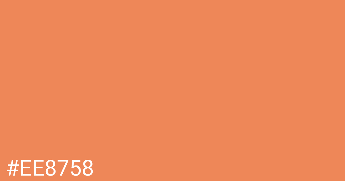 Hex color #ee8758 graphic