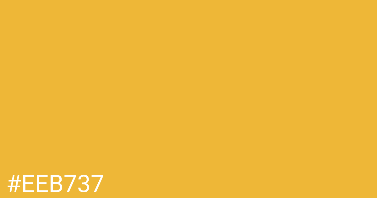 Hex color #eeb737 graphic
