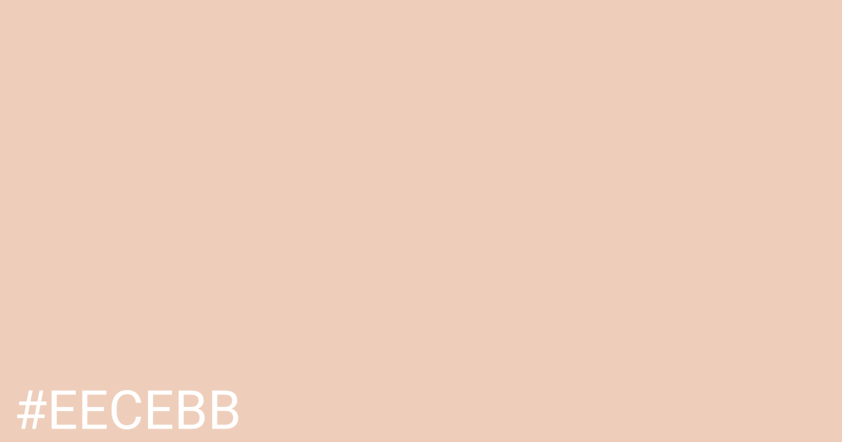 Hex color #eecebb graphic