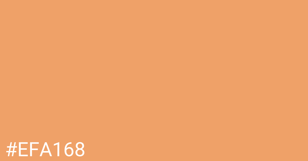 Hex color #efa168 graphic