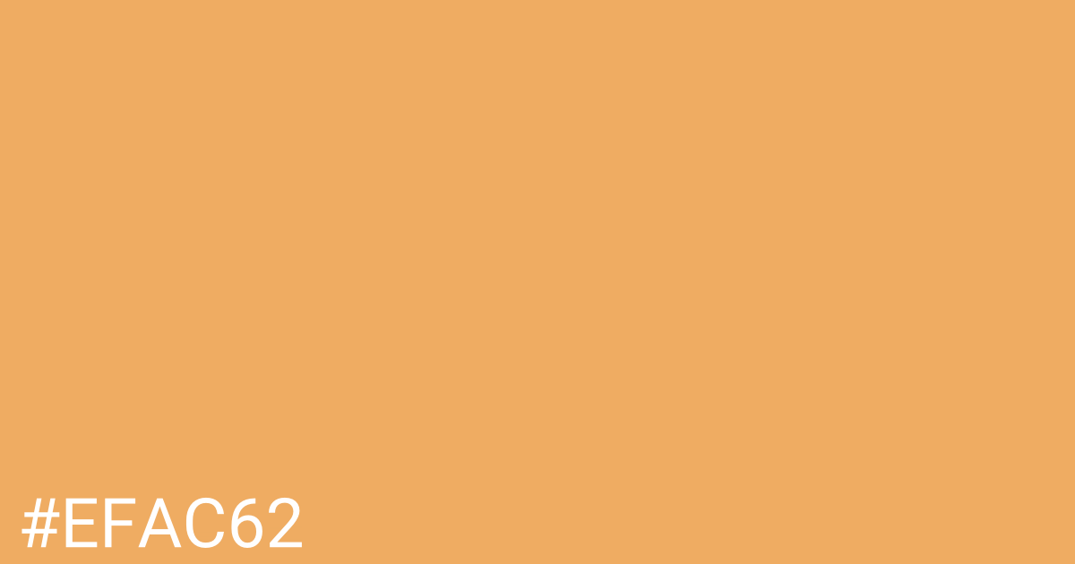 Hex color #efac62 graphic