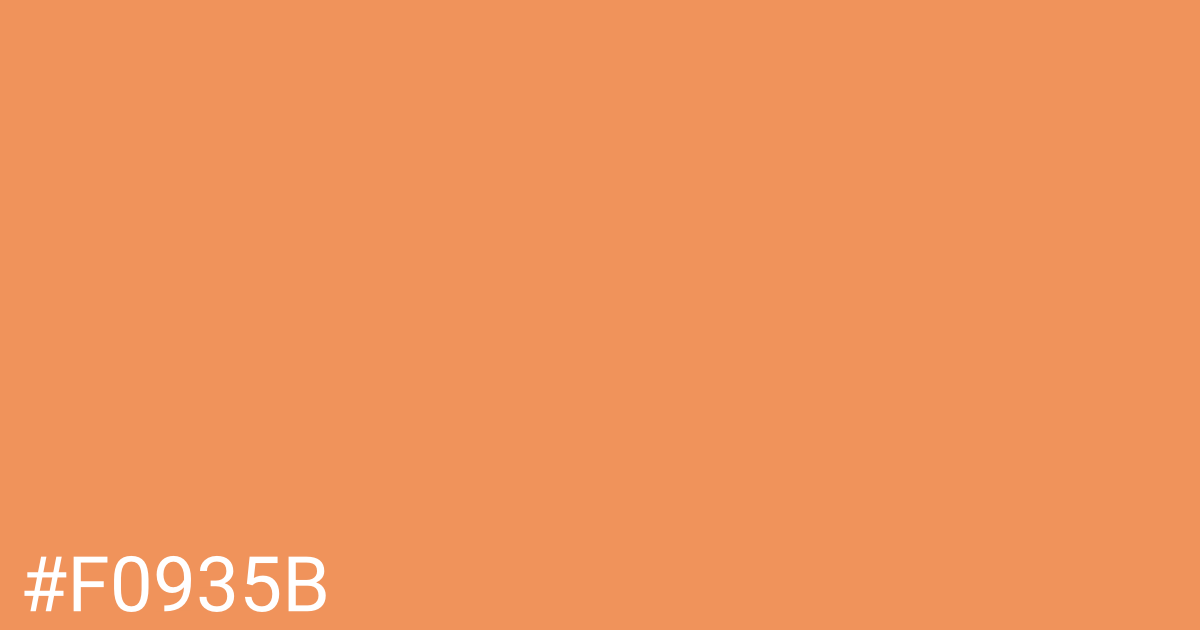 Hex color #f0935b graphic