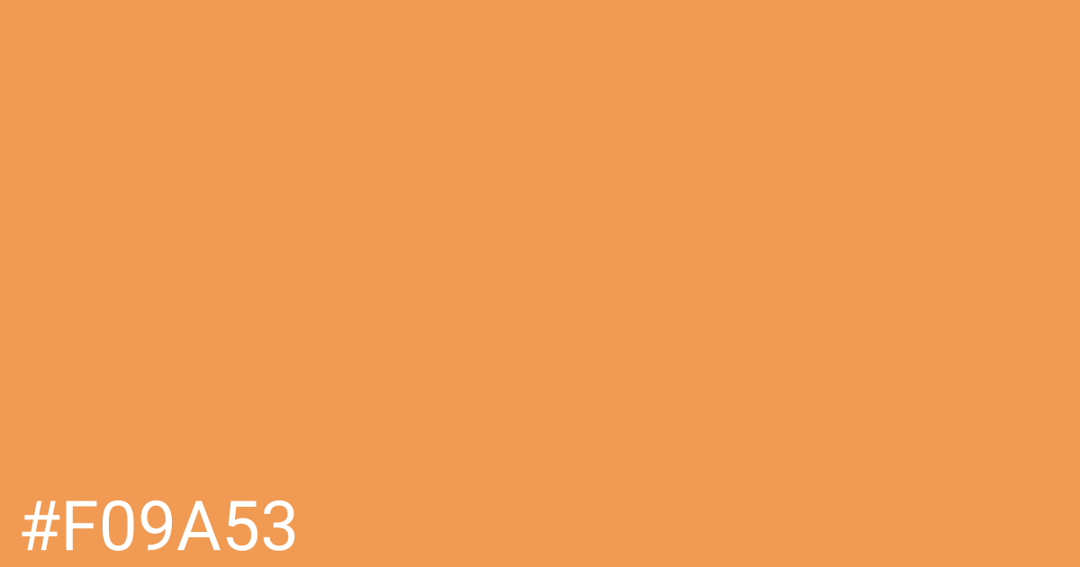 Hex color #f09a53 graphic