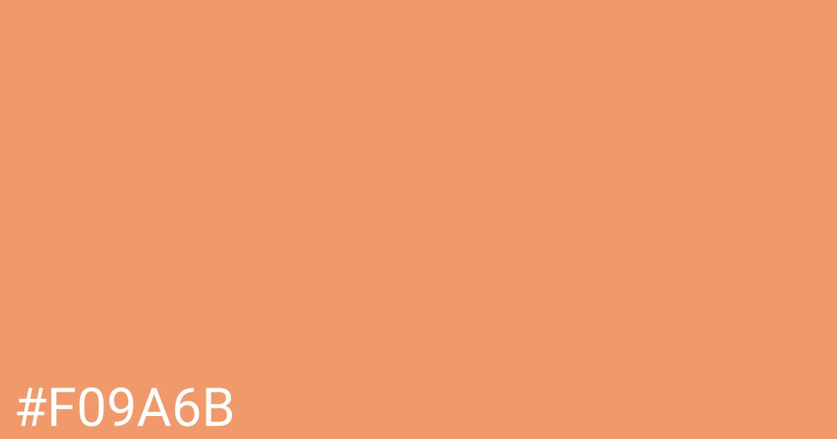 Hex color #f09a6b graphic