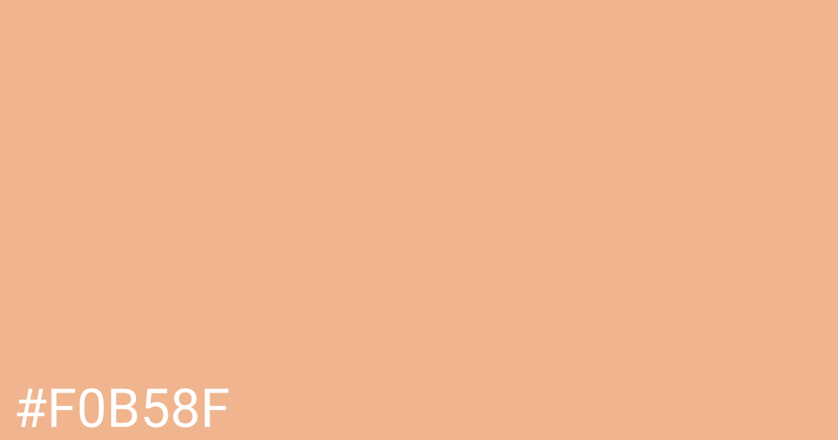 Hex color #f0b58f graphic