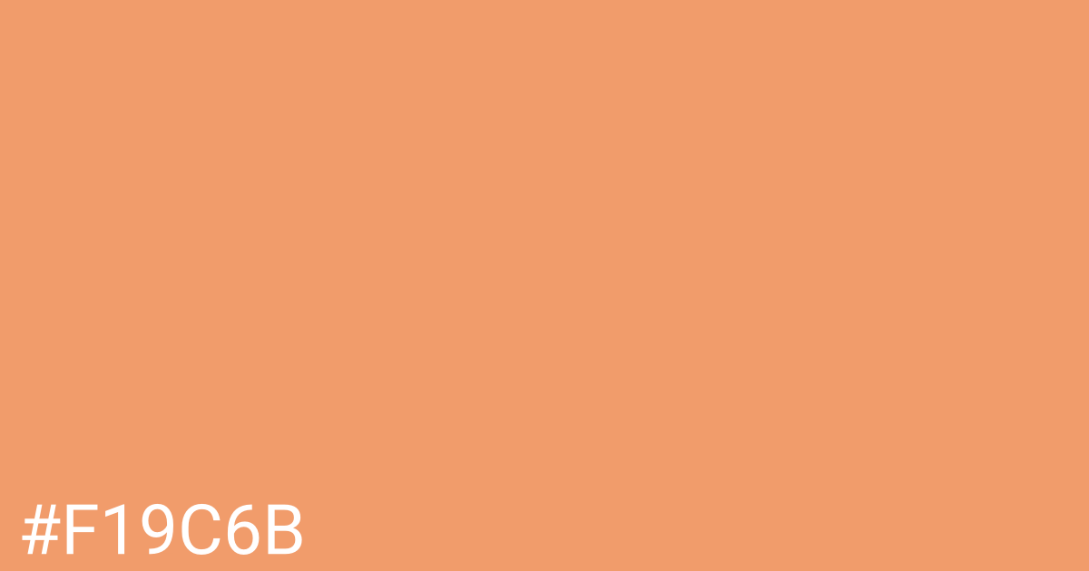 Hex color #f19c6b graphic