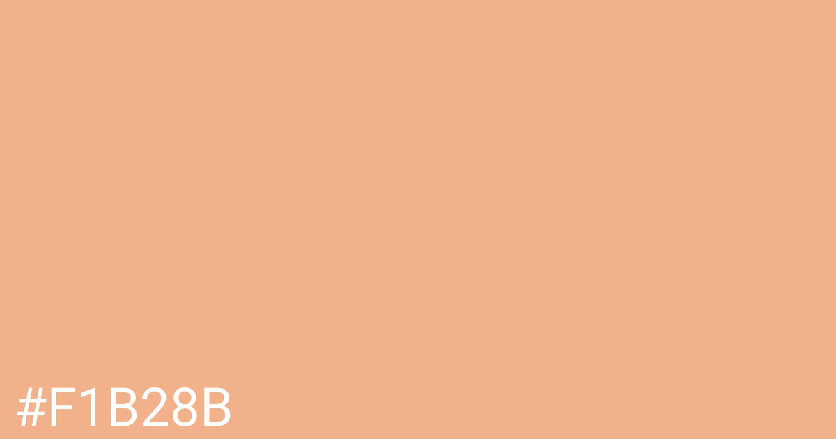 Hex color #f1b28b graphic