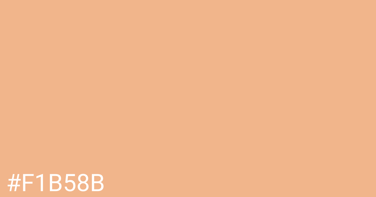 Hex color #f1b58b graphic