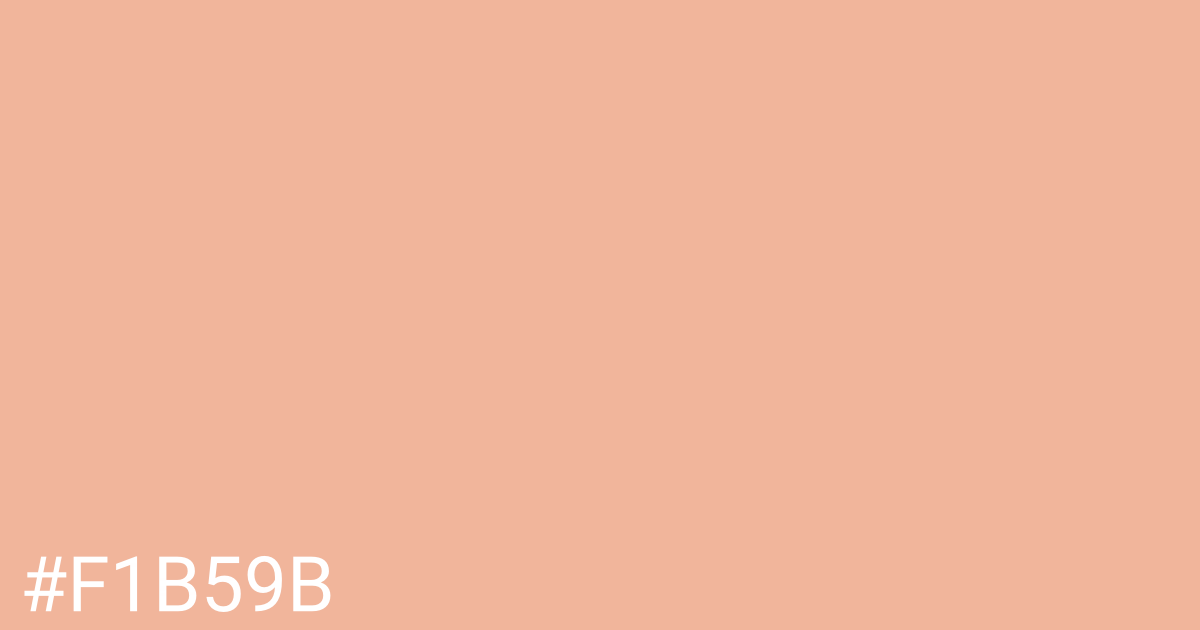 Hex color #f1b59b graphic