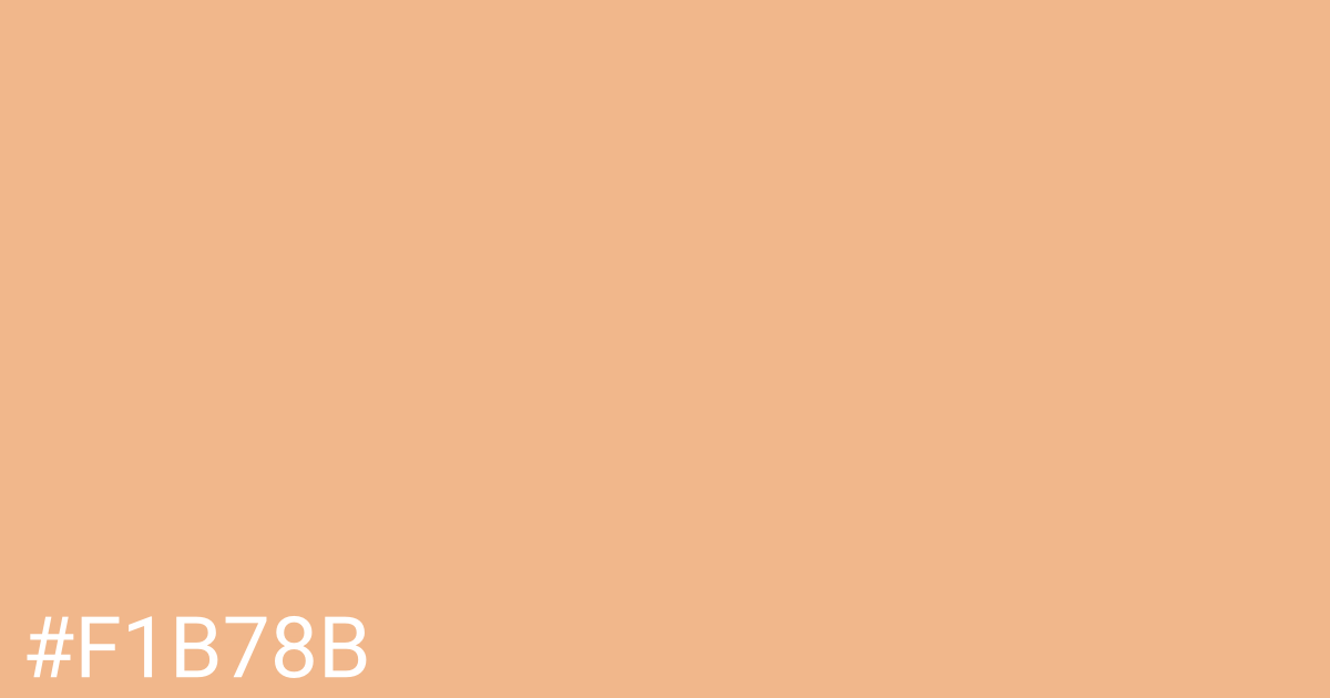 Hex color #f1b78b graphic