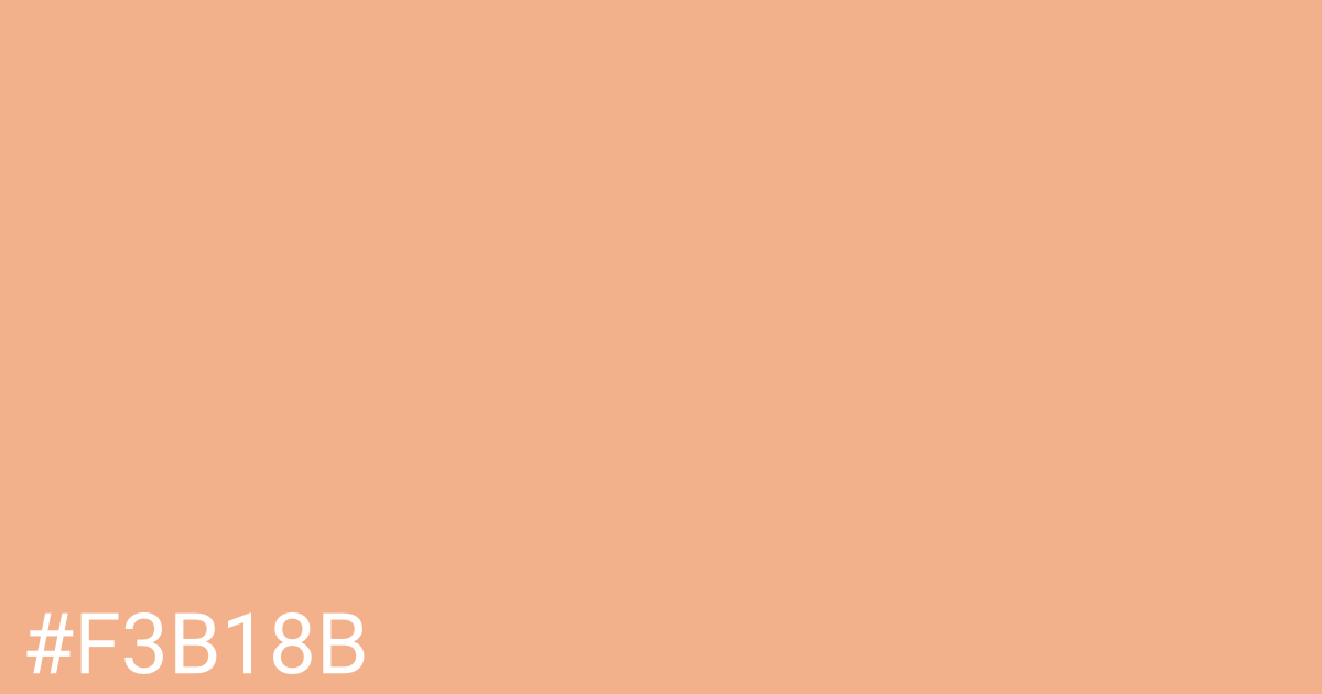 Hex color #f3b18b graphic