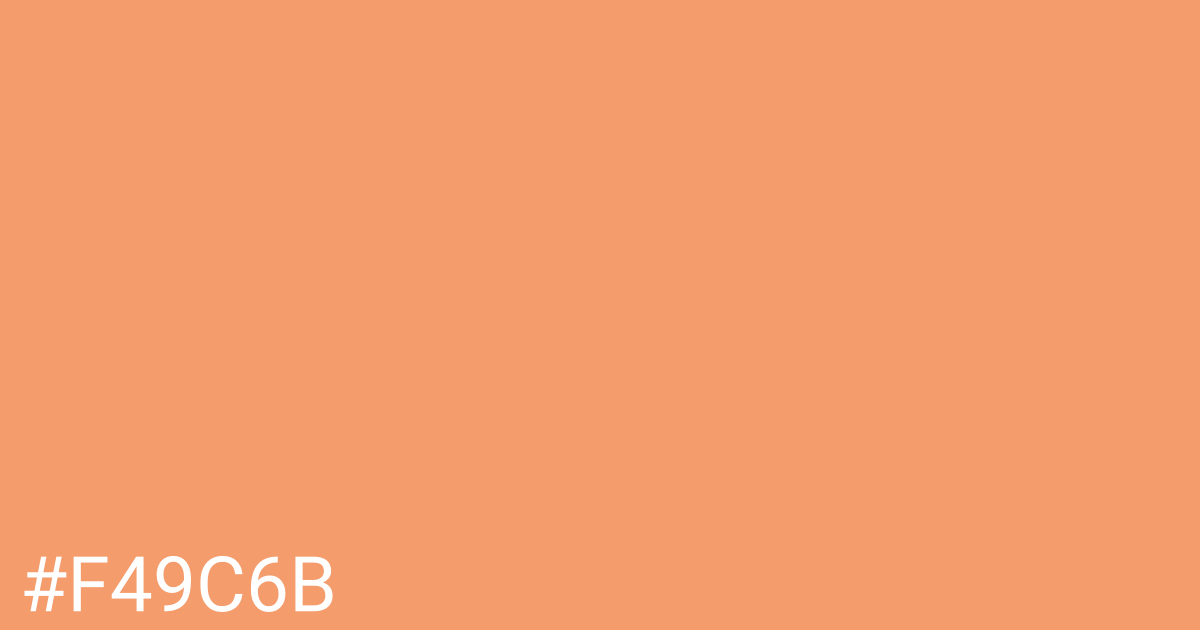 Hex color #f49c6b graphic