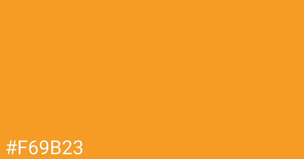 Hex color #f69b23 graphic