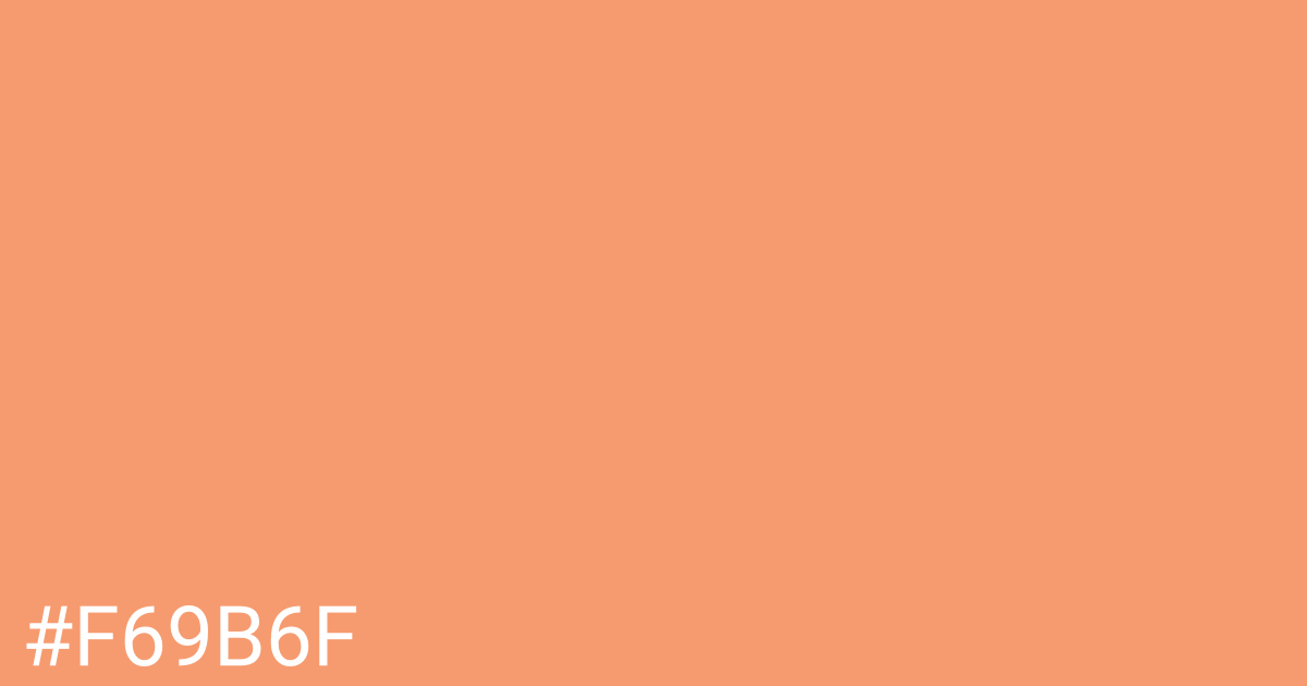 Hex color #f69b6f graphic