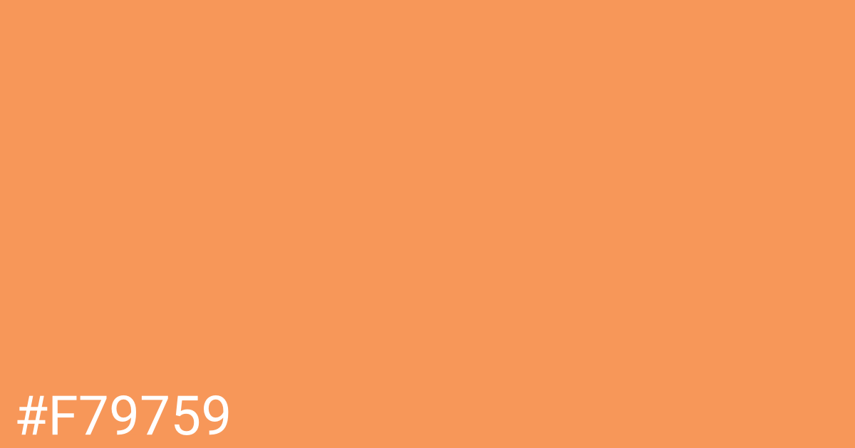 Hex color #f79759 graphic