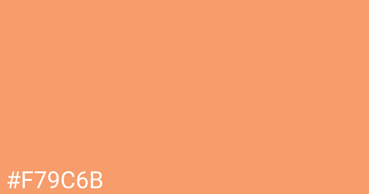 Hex color #f79c6b graphic