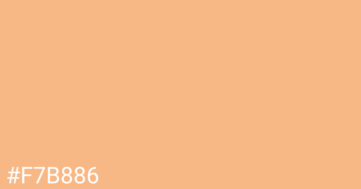 Hex color #f7b886 graphic