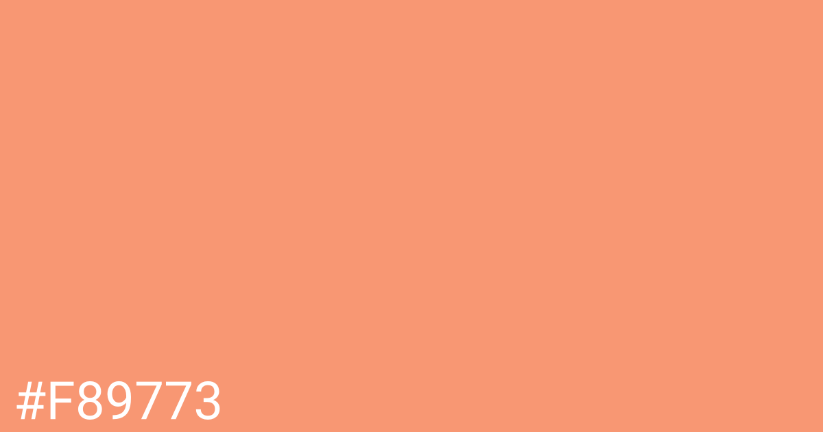 Hex color #f89773 graphic