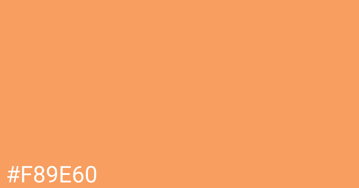 Hex color #f89e60 graphic