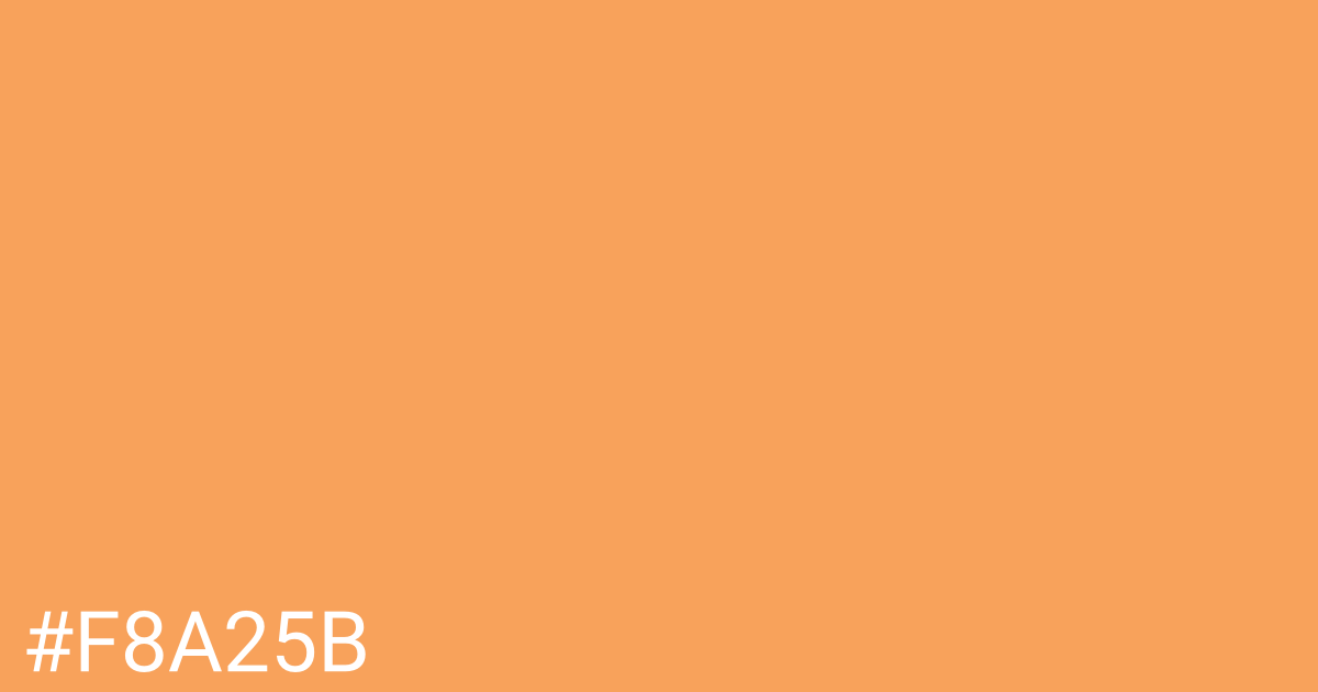 Hex color #f8a25b graphic