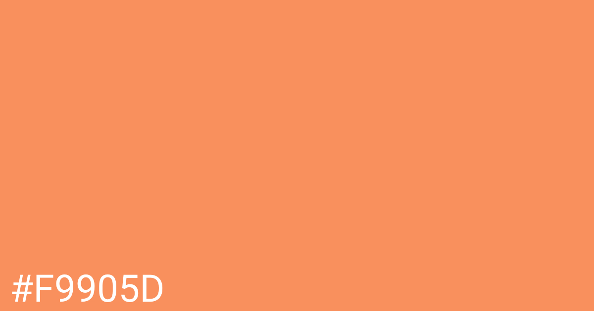 Hex color #f9905d graphic