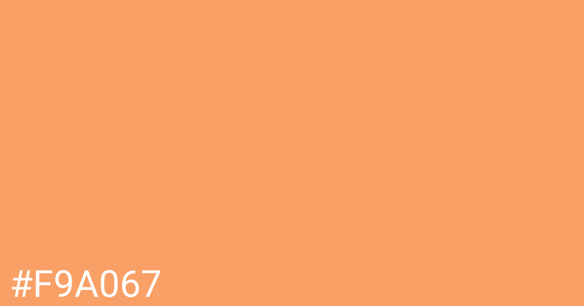 Hex color #f9a067 graphic