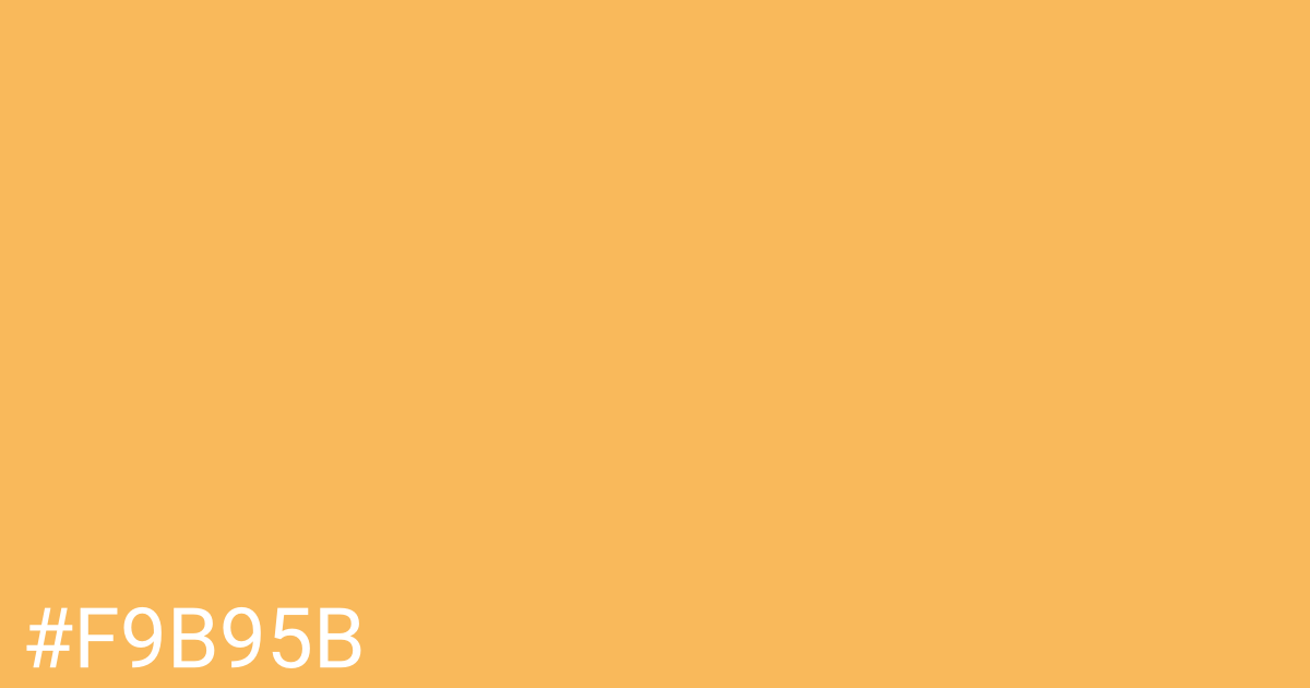 Hex color #f9b95b graphic