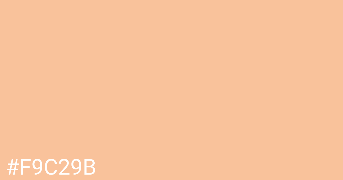 Hex color #f9c29b graphic