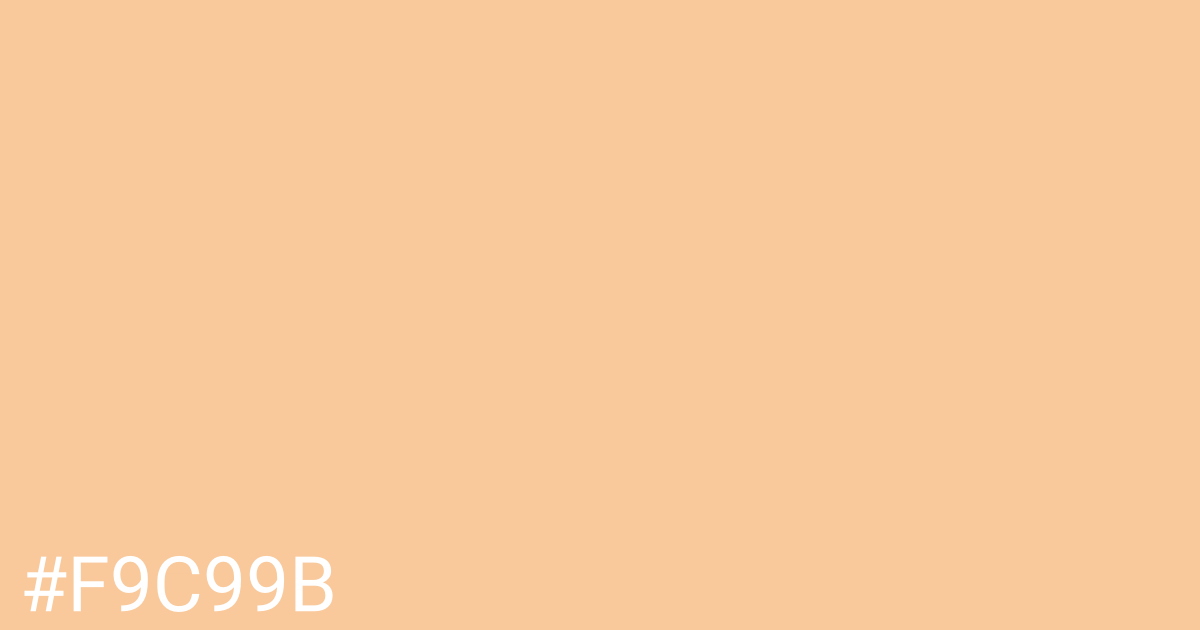 Hex color #f9c99b graphic