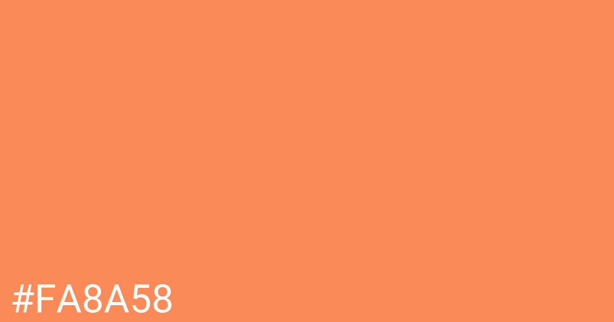 Hex color #fa8a58 graphic
