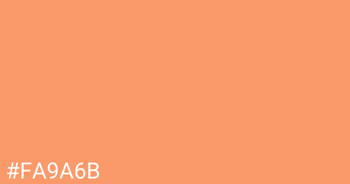 Hex color #fa9a6b graphic