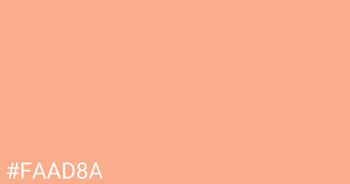 Hex color #faad8a graphic