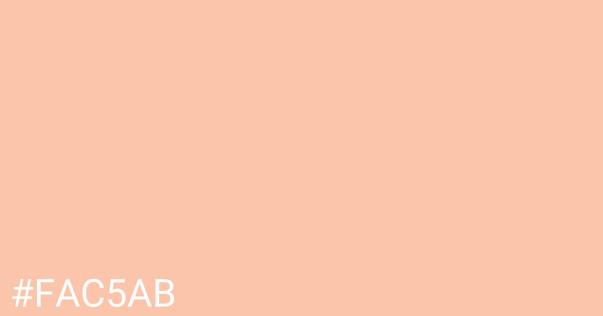 Hex color #fac5ab graphic