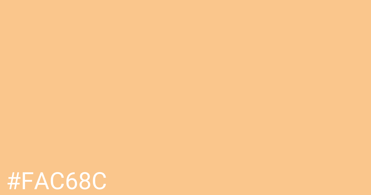 Hex color #fac68c graphic