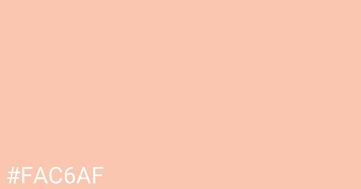 Hex color #fac6af graphic