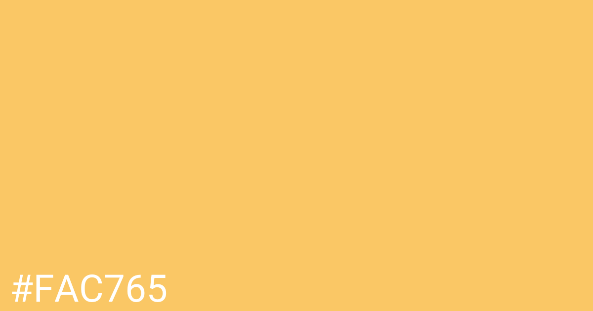 Hex color #fac765 graphic