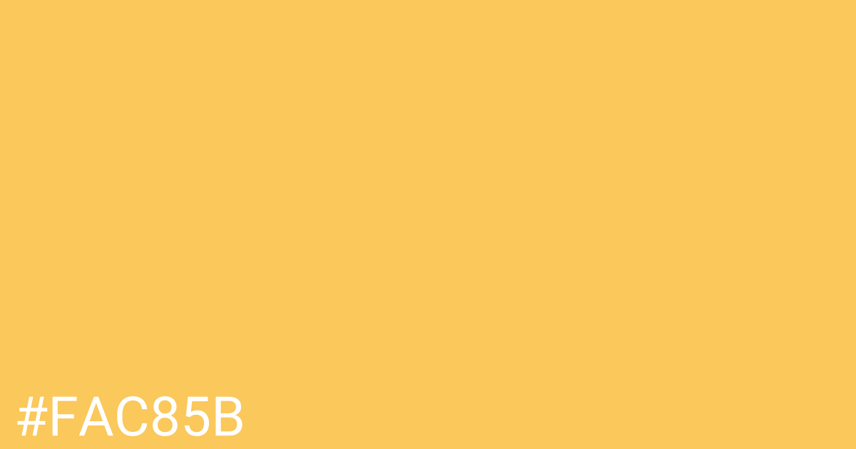 Hex color #fac85b graphic