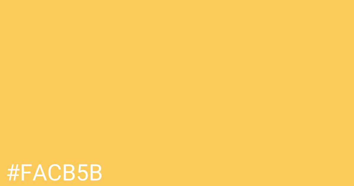 Hex color #facb5b graphic