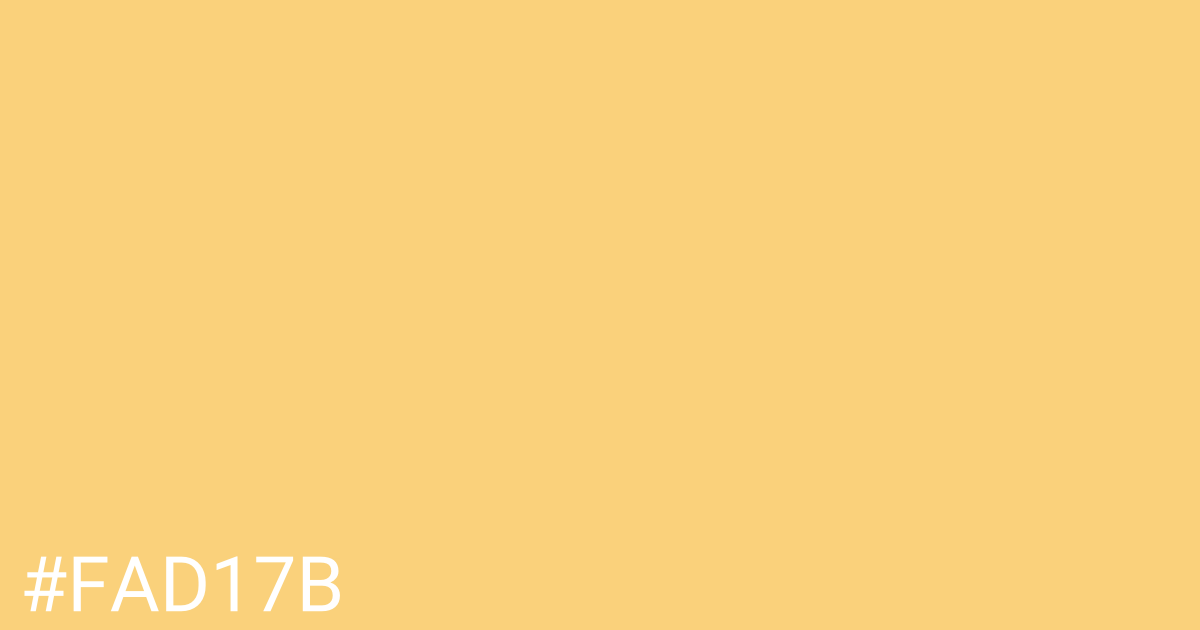 Hex color #fad17b graphic