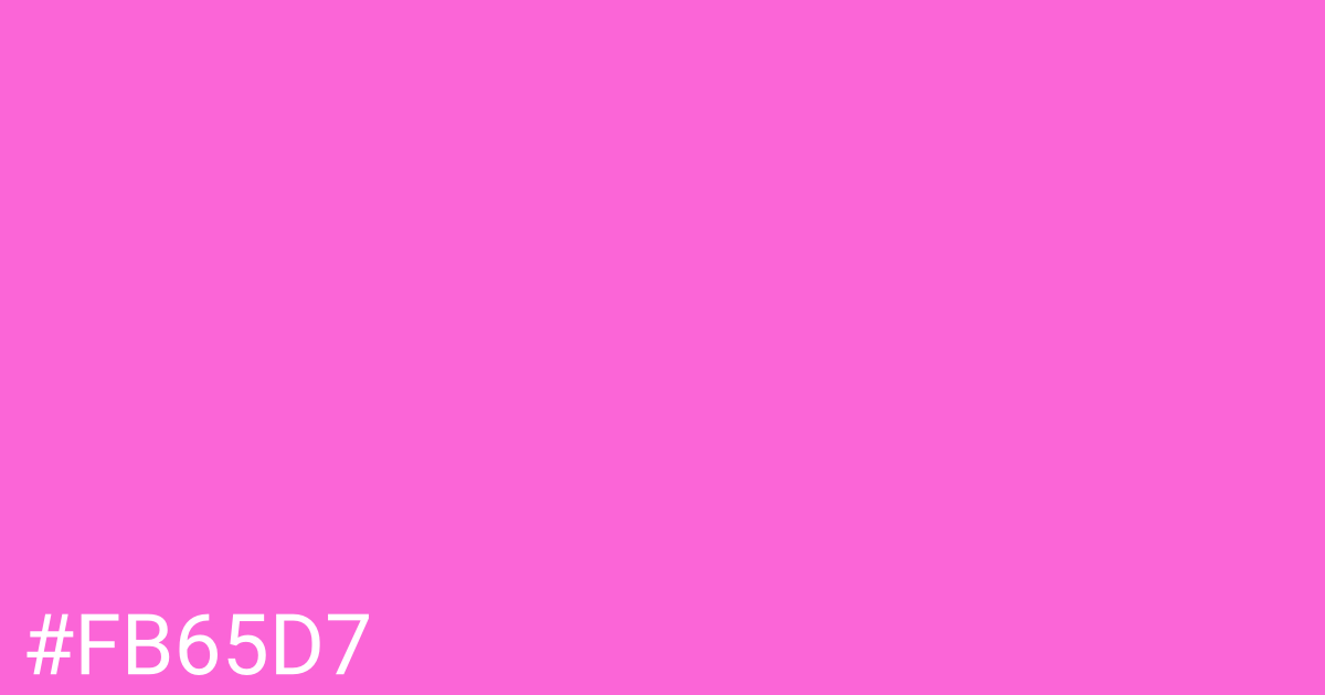 Hex color #fb65d7 graphic