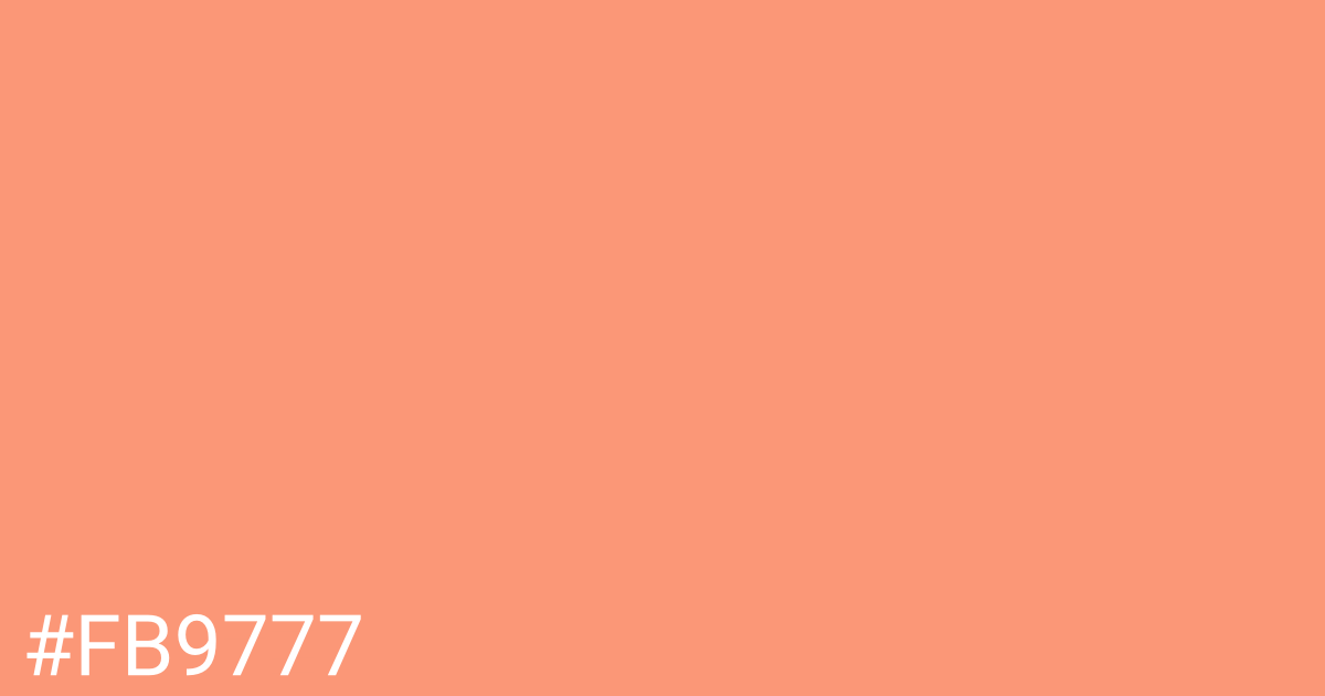 Hex color #fb9777 graphic