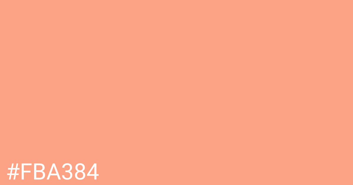 Hex color #fba384 graphic