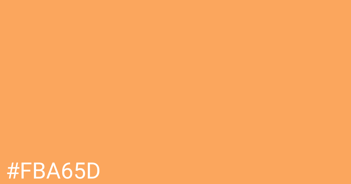 Hex color #fba65d graphic