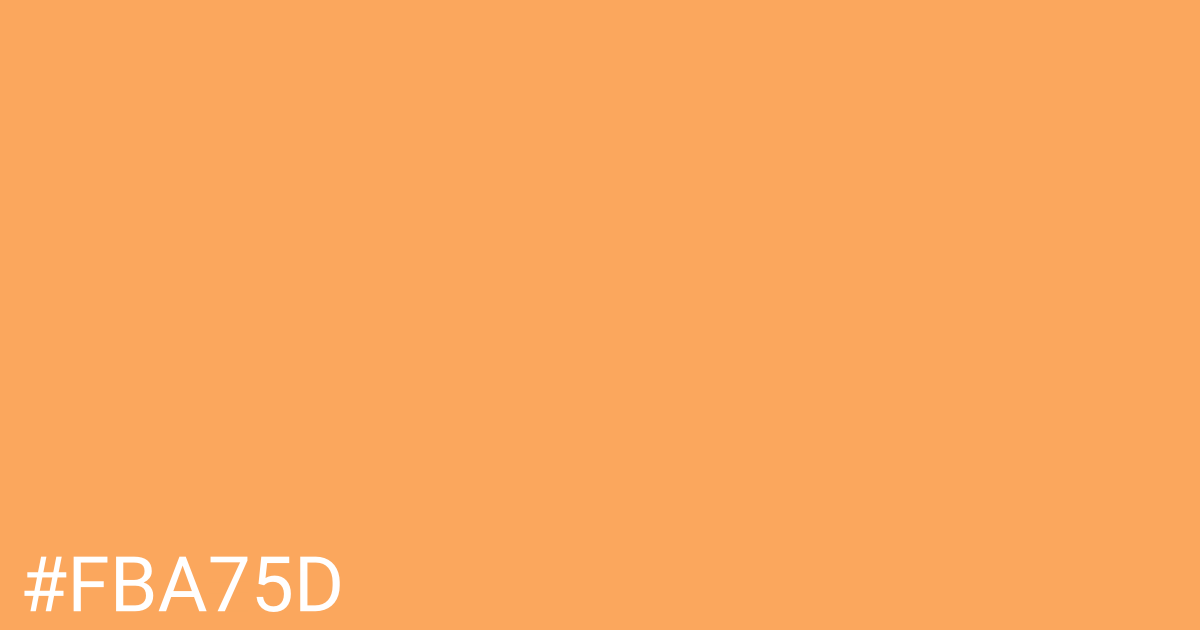 Hex color #fba75d graphic