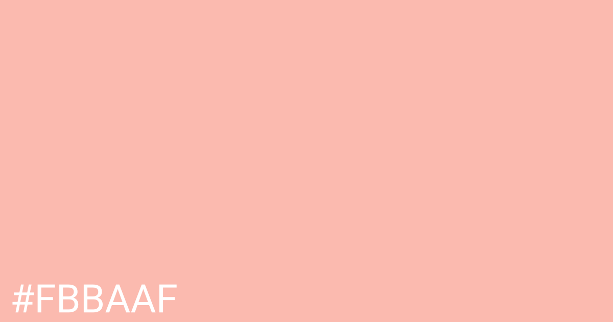 Hex color #fbbaaf graphic