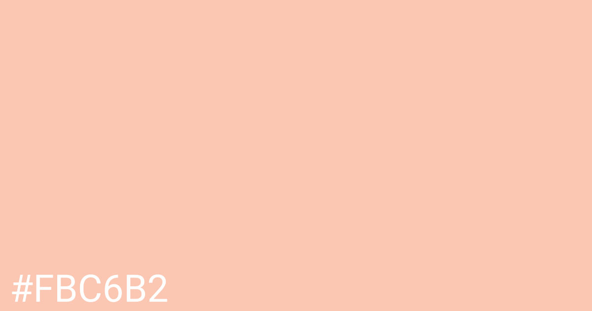 Hex color #fbc6b2 graphic