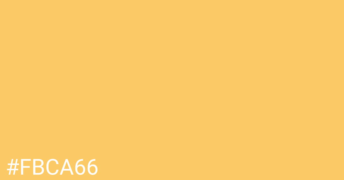 Hex color #fbca66 graphic