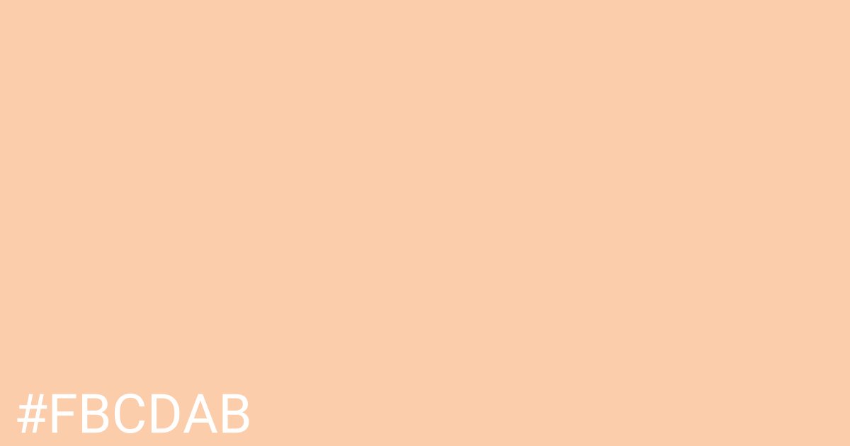 Hex color #fbcdab graphic